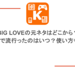 BIG LOVEの元ネタはどこから？ネットで流行ったのはいつ？使い方も紹介