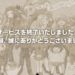 【悲報】ネトゲのサービス終了が止まらない