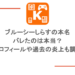 ブルーシーしらすの本名がバレたのは本当?プロフィールや過去の炎上も調査